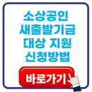 세무법인새빛베스트지점 | 소상공인 새출발기금 대상 지원 신청방법 대출 탕감 자격부터 유의사항까지