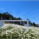 장산도