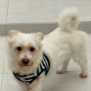 FORME:포미 이미지