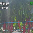 하단농약사 네이버블로그