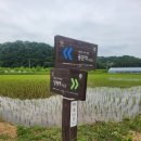 용문파출소~용문역 이미지