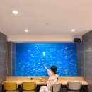 P-7707 | [경주/감포] 현시점 경주에서 핫한 아쿠아리움 카페 “투썸플레이스 경주감포항점”