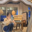 모란역 근처 카페, 순둥순둥한 고양이가 있는 모젤온더테이블 내돈내산 솔직후기