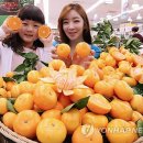 돌빌레