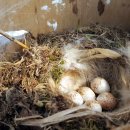 논두렁밭두렁 이미지