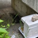 합정빗물펌프장 이미지