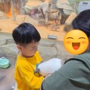 테이블에이 | 아이와 파주놀거리 파주실내데이트코스 테이블에이 야당 동물원 후기