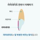 소중한이치과의원 이미지