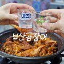 부산곰장어 | 비오는날 방문한 해운대시장 곰장어 맛집 '부산곰장어' 후기