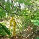 청리면보건지소 이미지