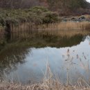 피유빌리지 이미지