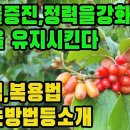 산수유―천연비아그라! 간과신장을보하고정력강화,발기부전,조루,여성갱년기증상,신체노화,암,고혈압,동맥경화,당뇨,요실금,시력·청력·면역력저하 이미지