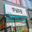 얌샘김밥고양