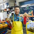 보통상회 - 양구군 | 보통상회