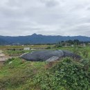 남원목장 이미지