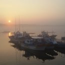 태안나비 이미지