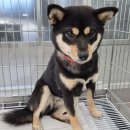 이산면보건지소 이미지