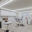 예쁜 애견 미용 이미지