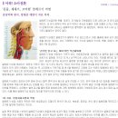 캥거루 플레이방방 이미지
