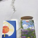 로맨틱 피크닉 | 스웨덴 피크닉 대화 카드 구입 후기 (로맨틱, 일상) - 내돈내산