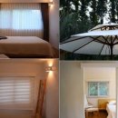 나무의 꿈 이미지