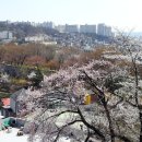 와룡공원 이미지