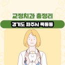 닥터진치과의원 | 경기도 파주시 목동동 교정치과 총정리
