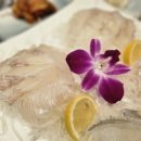 땅끝횟집 | 분당횟집 《땅끝수산》 에서 봄도다리 먹고온 후기