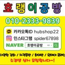 전통떡 앙금공예 이미지