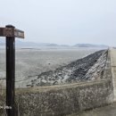 대흥태양광발전소 이미지