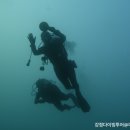 강정다이브센터 이미지