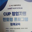 부산가톨릭대학교 | 창업지원 멘토링 프로그램 참가 후기 - 부산가톨릭대학교 CUP