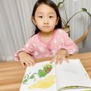 돼지네 울타리 이미지