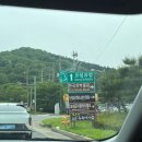 보성 가볼만한곳 추천｜대한다원 보성녹차밭 후기 (+임산부 추천 코스)
