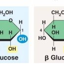 생명+중첩 이미지