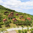 산림놀이 이미지