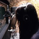 SMMA아카데미퍼포먼스센터구리학원 | 강남 입시보컬학원 SMMA아카데미 방문후기!