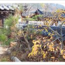 단양집민박 이미지