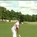 LEE 골프 이미지