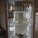 디어터틀(dear turtle) 이미지