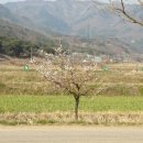 성곡친환경정보화마을 이미지