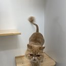 진이발관 이미지