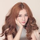 지푸
