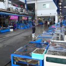 대천항 활어판매장 이미지