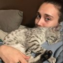 애묘(고양이)백과 - 이집션 마우 (Egyptian Mau) 이미지