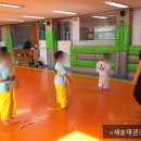 새솔태권도 이미지