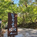 문수골산장 | [문수골산장] 김포 애견동반 가능 캠핑장, 아베나키 돔쉘터 솔직후기