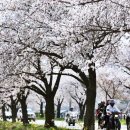 용암3길 이미지