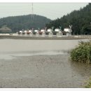 덕송지낚시터 이미지