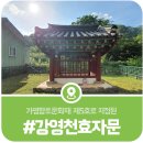 강영천 효자문 이미지